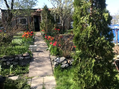 дом по адресу Рибацька