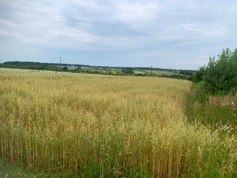 участок по адресу 