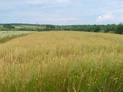 участок по адресу 