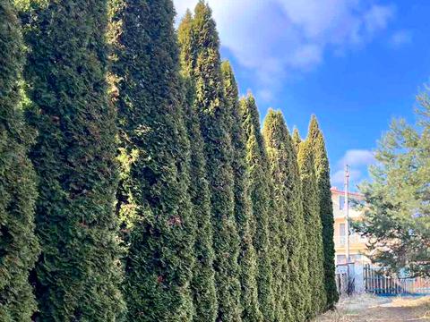 дом по адресу Тараса Шевченко ул., 21