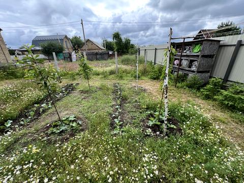 будинок за адресою Степова вул., 35