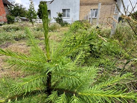 будинок за адресою Степова вул., 35