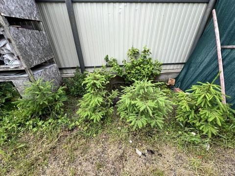 будинок за адресою Степова вул., 35