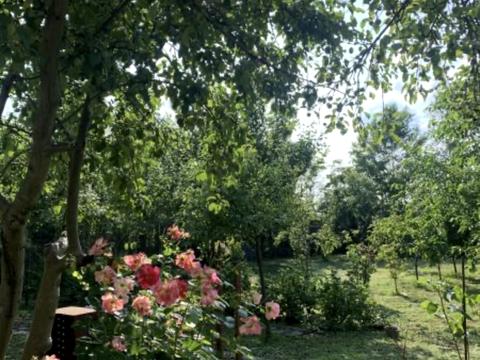 будинок за адресою Коротка