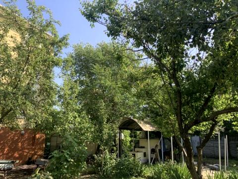 будинок за адресою Коротка