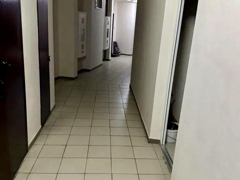 квартира за адресою Олени Пчілки вул., 8