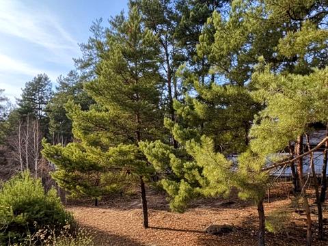 дом по адресу Каштановая ул. (Тракторна), 128А