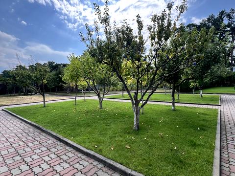 дом по адресу пров.12