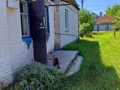 будинок за адресою Київська вул. (Мічуріна)