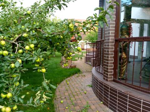 будинок за адресою Молодіжна вул., 50