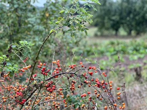 будинок за адресою Кірова, 12