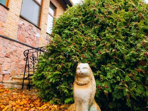 будинок за адресою Гайова вул.