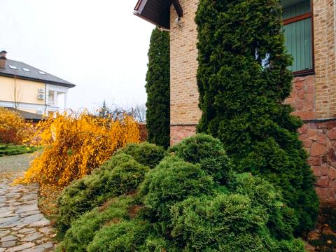 будинок за адресою Гайова вул.