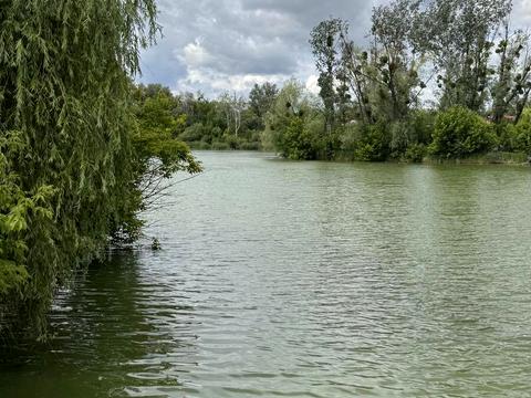 ділянка за адресою старова, 17