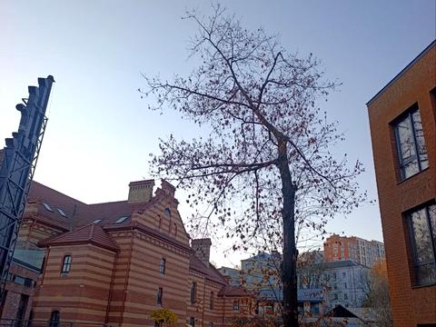 квартира за адресою Клепарівська вул., 15