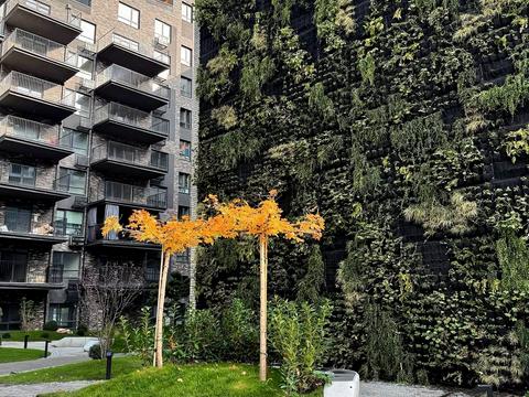 квартира по адресу Українська ул., 1-Б/1