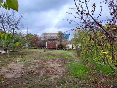 ділянка за адресою с. Нова долина, Шкільний пров.