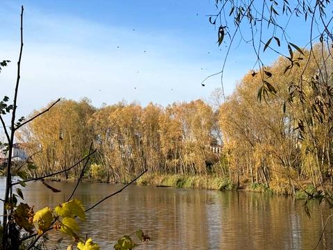 дом по адресу Апрельская ул.