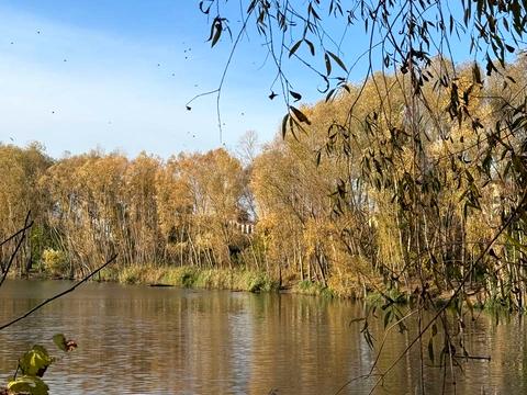 дом по адресу Апрельская ул.