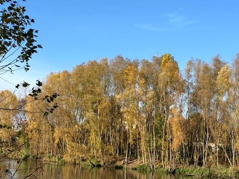 дом по адресу Апрельская ул.