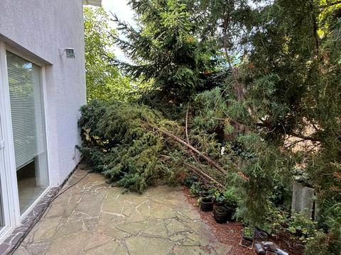 дом по адресу Севериновская ул. (Жовтнева)