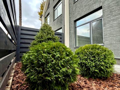 дом по адресу Антония Михайловского ул.