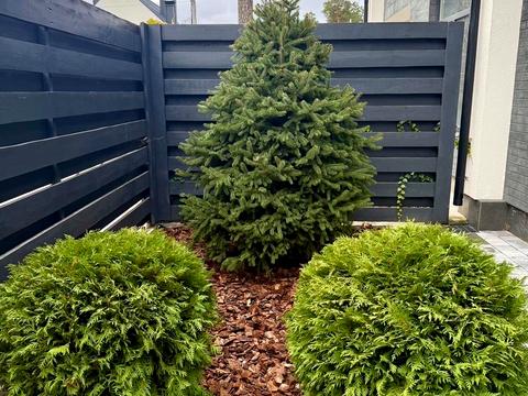 дом по адресу Антония Михайловского ул.