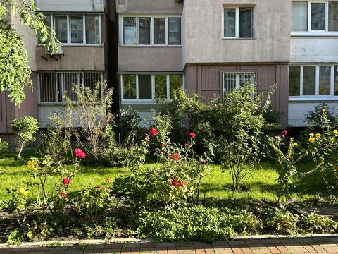 квартира за адресою Олени Пчілки вул., 2-Б