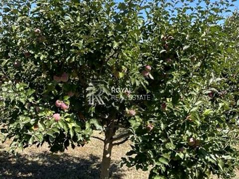 дом по адресу с. Устимовка, Молодіжна