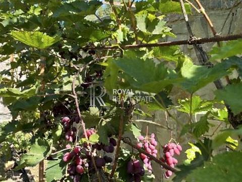 дом по адресу с. Устимовка, Молодіжна