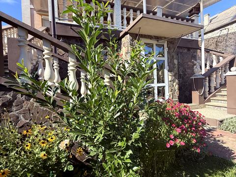 будинок за адресою Патруса-Карпатського вул.