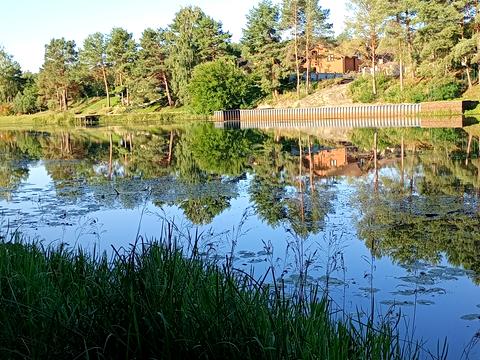 будинок за адресою Виноградна, 12