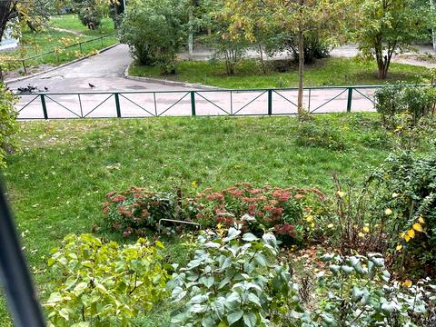 квартира по адресу Павла Тычины просп., 12-А