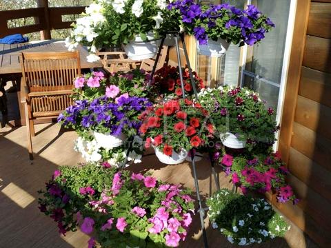 будинок за адресою Соборна вул.