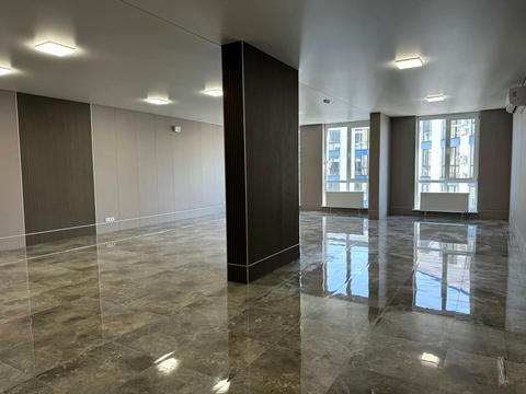 комерційна за адресою Центральна вул., 21