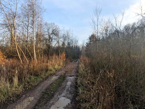 ділянка за адресою 