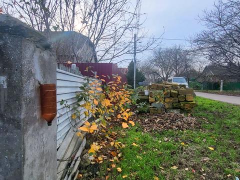 дом по адресу Панаса Мирного ул.