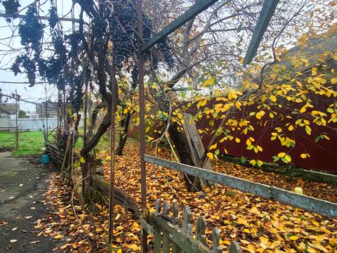 дом по адресу Панаса Мирного ул.