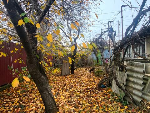 дом по адресу Панаса Мирного ул.