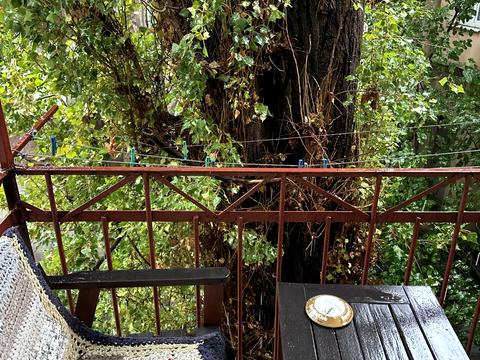 квартира за адресою Італійська вул. (Пушкінська), 55