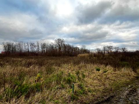 участок по адресу Східна ул.