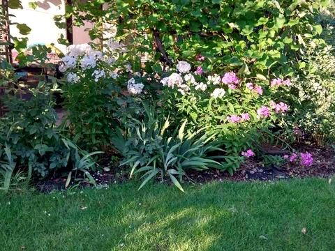 будинок за адресою Богатирська вул.