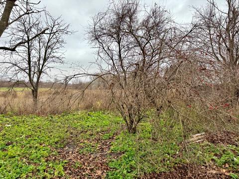 ділянка за адресою с. Вороньків, 