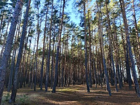 ділянка за адресою с. Жукин, 