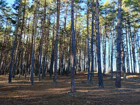 ділянка за адресою с. Жукин, 