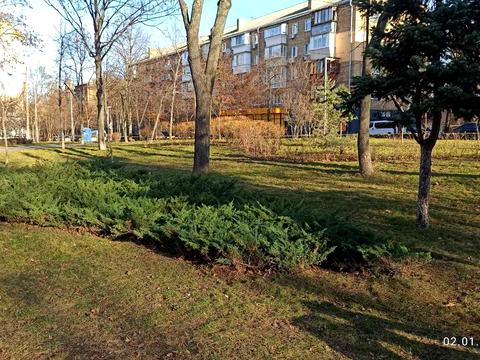 комната по адресу Салютная ул., 6