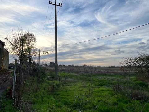 ділянка за адресою смт. Овідіополь, 