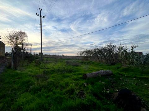 ділянка за адресою смт. Овідіополь, 
