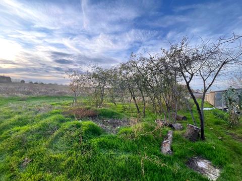 ділянка за адресою смт. Овідіополь, 