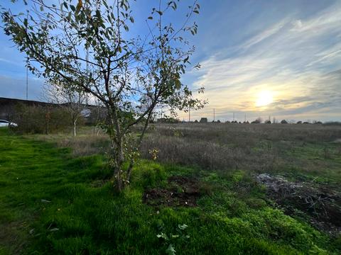 ділянка за адресою смт. Овідіополь, 